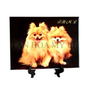 GẠCH MEN 15 x 20CM