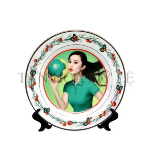 ĐĨA HV TRÁI ANH ĐÀO 20 CM