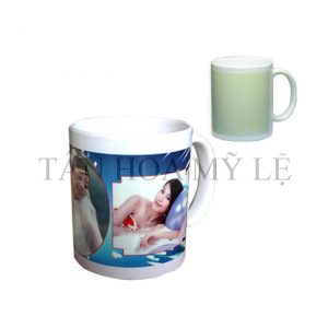 LY DẠ QUANG TRẮNG