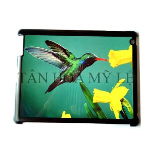 VỎ IPAD 2 - 3 - 4 2D
