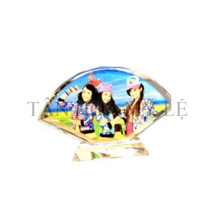 PLEN HÌNH QUẠT 9.5*17.5 CM