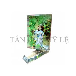 PLEN HÌNH T DỌC XOAY 9*13CM