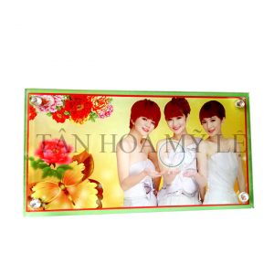K/H THỦY TINH 16X30x0.5 CM