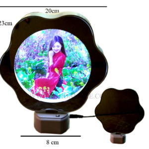 KHUNG HÌNH ĐÈN LED HÌNH HOA MAI 20CM