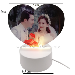 MIKA HỘP ĐÈN LED HÌNH TIM